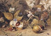 Still-life with horse chestnuts and insects (mk47) Elizabeth Byrne